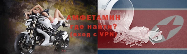 гашик Мегион