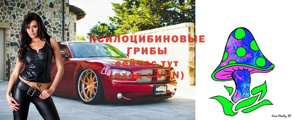 хмурый Медвежьегорск