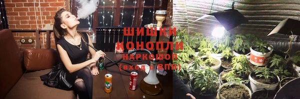 гашик Мегион