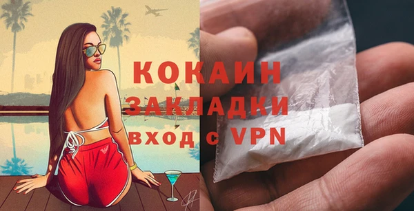 гашик Мегион